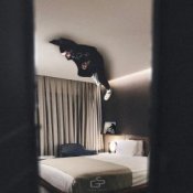 Обложка A.V.G – Ты мой сон