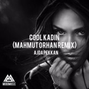 Обложка Ajda Pekkan – Cool Kadın (Mahmut Orhan Remix)