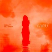 Обложка Dony & DJ TAVY – WIIRU