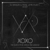 Обложка DJ Bahler & Frail Limb Purity – A Terrible Fate