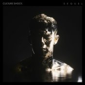 Обложка Sub Focus feat. Culture Shock – Move Higher