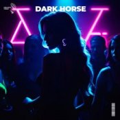 Обложка Slawd & Vallvete – dark horse (slowed + reverb)