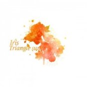 Обложка Triangle Sun – Dry My Tears
