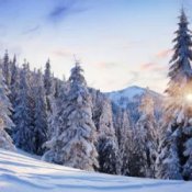 Обложка Y.K. MUSIC – ОЙ, КАРПАТИ - БІЛІ ШАТИ