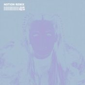 Обложка CHRYSTAL & NOTION – The Days (NOTION Remix)