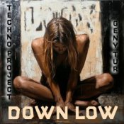 Обложка Techno Project & Geny Tur – Down Low