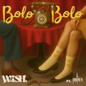 Обложка W.i.S.H & Panther – Bolo Bolo