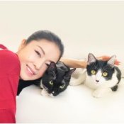 Обложка Ayako Fuji – Omoide Zukuri