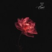 Anivar - Обещай (Kvmly & Zovo Kavkaz Remix)