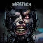 Обложка Coverman – Reise Reise