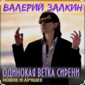 Обложка Валерий Залкин – Одинокая ветка сирени