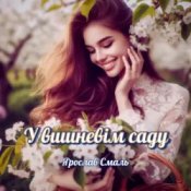 Обложка Ярослав Смаль – Спомин про нашу любов