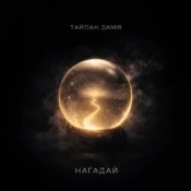 Обложка Тайпан & DAMIR – Нагадай