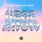 Обложка NIKSTER & Robin White & YRIQUE – Here & Now