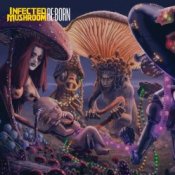 Обложка Infected Mushroom – Z.16 Open