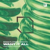 Обложка Bingo Players & Mohtiv – Want It All
