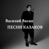 Вася Васин – Чёрный ворон