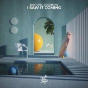Обложка Daytune & Dogmeow – I Saw It Coming