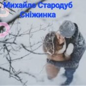 Обложка Михайло Стародуб – Сніжинка