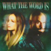 Обложка Jackie Hollander & Malóne & Baby Bash – What The Word Is