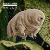 Обложка Noize MC – Катацумури