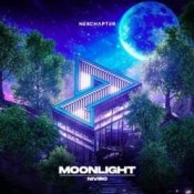 Обложка NIVIRO – Moonlight