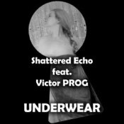 Обложка Shattered Echo feat. Victor PROG – UNDERWEAR