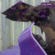 Обложка U-Ziq – Mushroom Compost