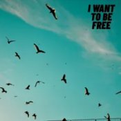 Обложка Roberto Pedoto – I Want To Be Free
