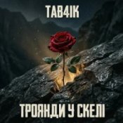 Tab4ik - Троянди у скелі
