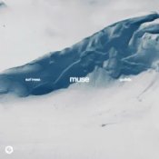 Обложка Surf Mesa & GUDFELLA – Muse