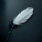 Enarvynn - Падший герой