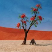 Axel Thesleff - Ashoka