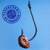 Обложка Infected Mushroom – Elevation