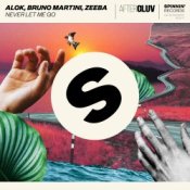 Обложка Alok, Bruno Martini, Zeeba – Never Let Me Go (Extended Mix)
