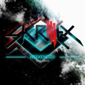 Обложка Skrillex – Voltage