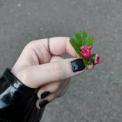 Обложка Эйприл – В огоньки