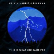 Обложка Calvin Harris feat. Rihanna – This Is What You Came For