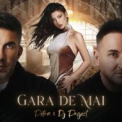 Обложка Petra & DJ Project – Gara de mai