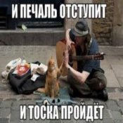 Обложка Ноль – Человек И Кошка