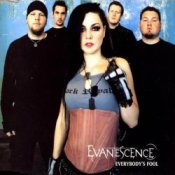 Обложка Evanescence – Taking Over Me (Live from Cologne)