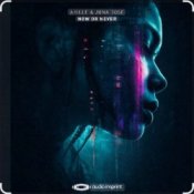 Обложка Akille & Juna Rose – Now Or Never