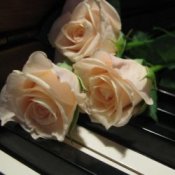 Василь Котович - Я ніколи нікому тебе не віддам