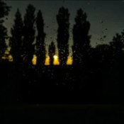 Обложка ALEKCION – І я біжу