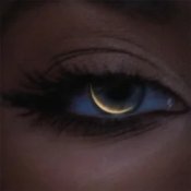 Обложка VERONIKA – Тимчасові