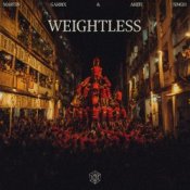 Обложка Martin Garrix & Arijit Singh – Weightless