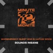 Обложка WHOWHENWHY, Guest Who & Haylee Wood – Sounds Insane (Extended Mix)