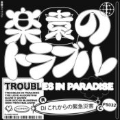 Обложка DJ これからの緊急災害 – Troubles in Paradise (Original Mix)