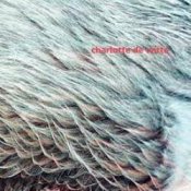Обложка Charlotte De Witte – Vision