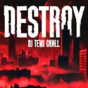 Обложка DJ Tewi CKИLL – Destroy
